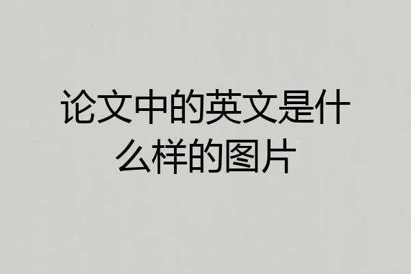 论文中的英文是什么样的图片