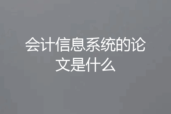 会计信息系统的论文是什么