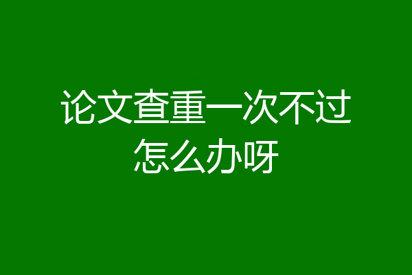 论文查重一次不过怎么办呀
