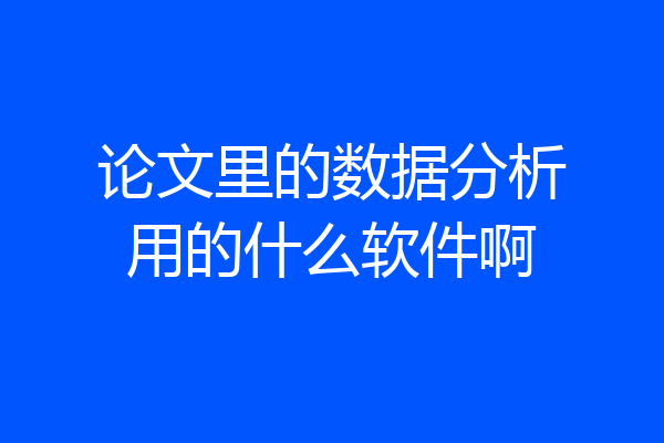 论文里的数据分析用的什么软件啊