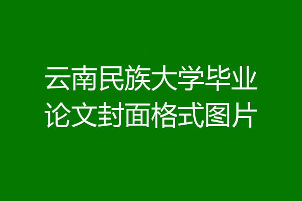 云南民族大学毕业论文封面格式图片