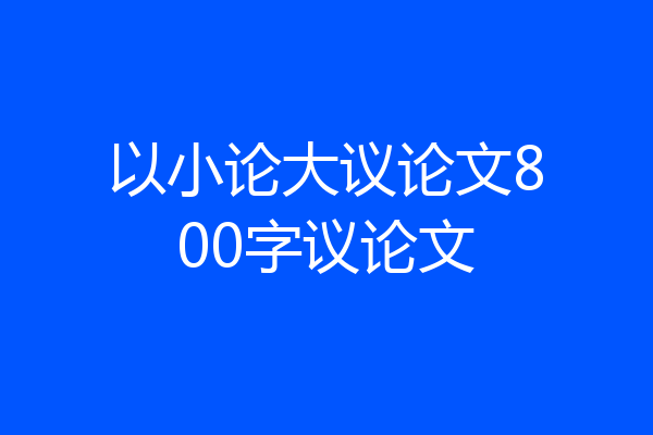 以小论大议论文800字议论文