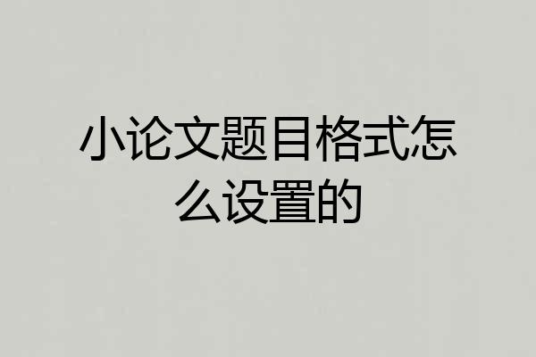 小论文题目格式怎么设置的