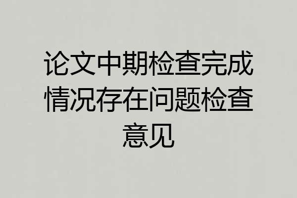 论文中期检查完成情况存在问题检查意见