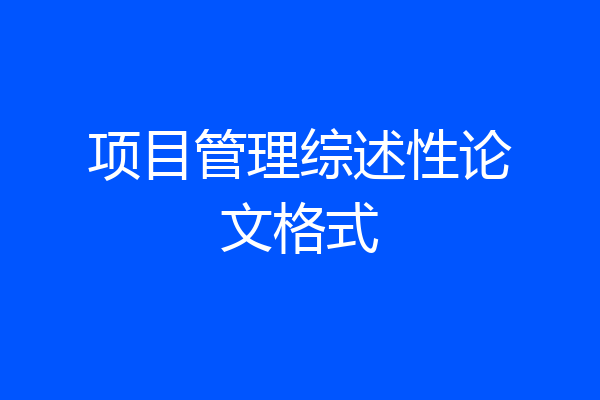 项目管理综述性论文格式