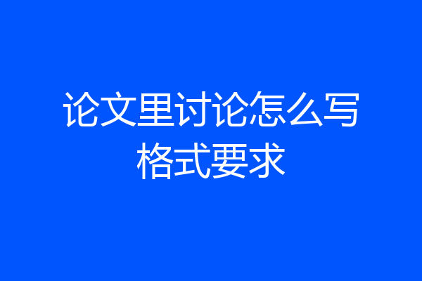 论文里讨论怎么写格式要求