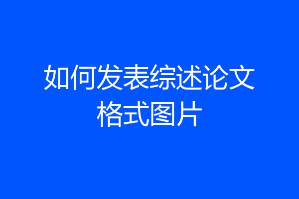 如何发表综述论文格式图片