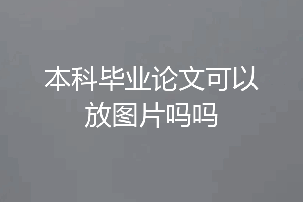 本科毕业论文可以放图片吗吗