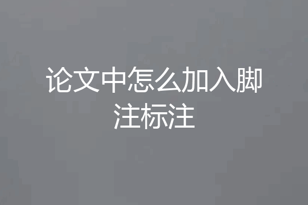 论文中怎么加入脚注标注