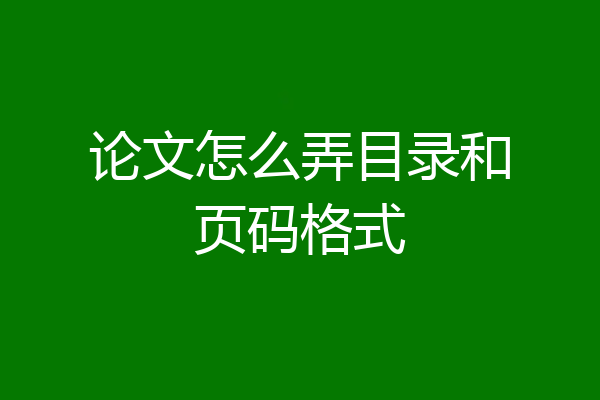 论文怎么弄目录和页码格式