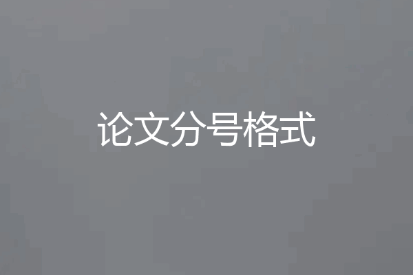 论文分号格式