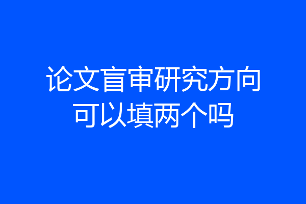 论文盲审研究方向可以填两个吗