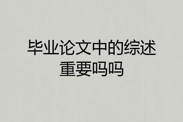 毕业论文中的综述重要吗吗