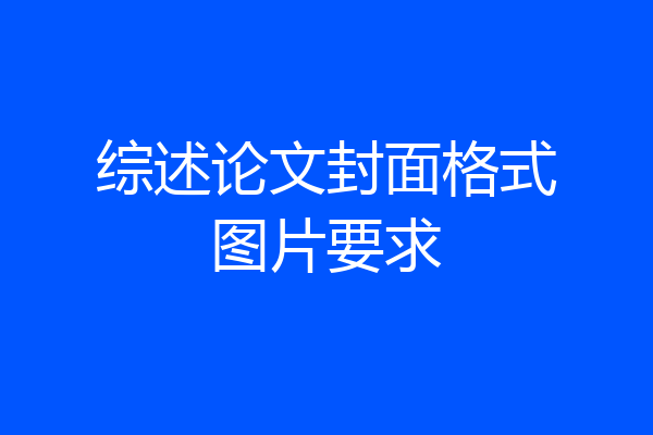 综述论文封面格式图片要求