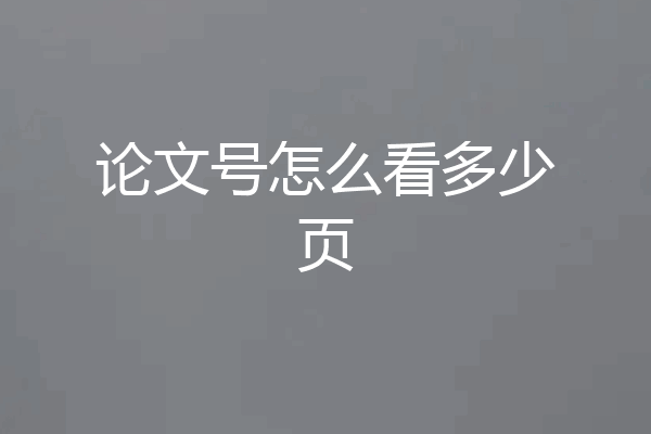 论文号怎么看多少页