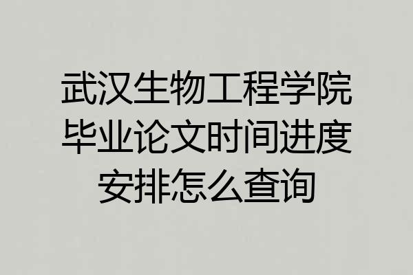 武汉生物工程学院毕业论文时间进度安排怎么查询