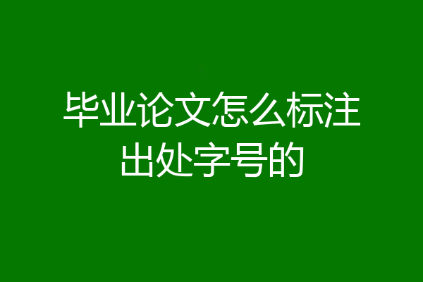 毕业论文怎么标注出处字号的