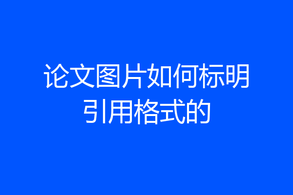 论文图片如何标明引用格式的