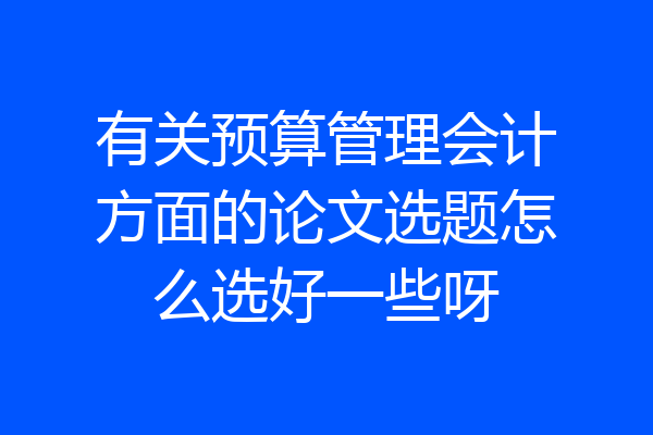 有关预算管理会计方面的论文选题怎么选好一些呀