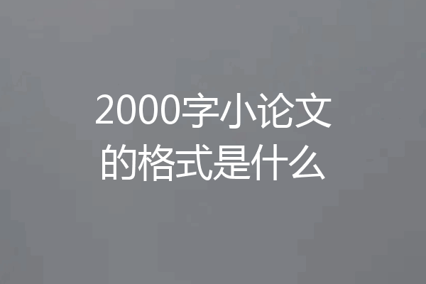 2000字小论文的格式是什么