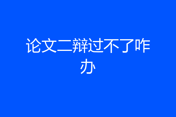 论文二辩过不了咋办