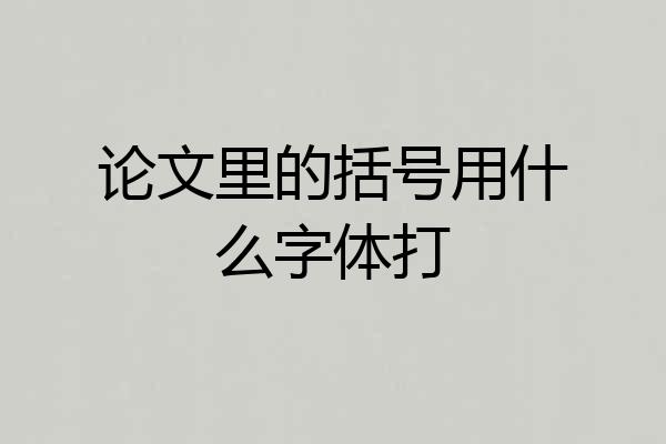 论文里的括号用什么字体打