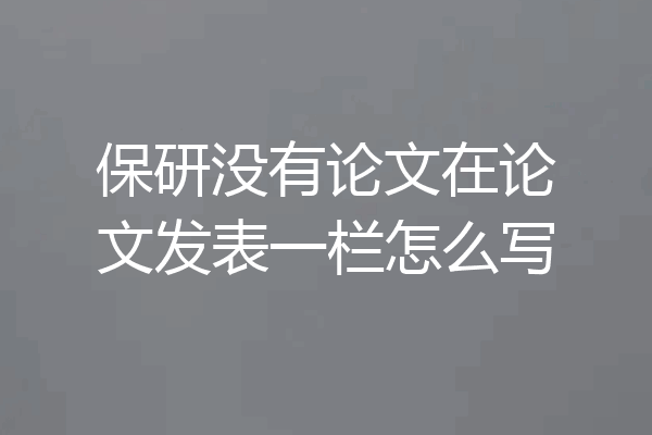 保研没有论文在论文发表一栏怎么写