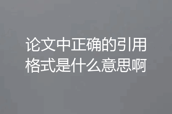 论文中正确的引用格式是什么意思啊