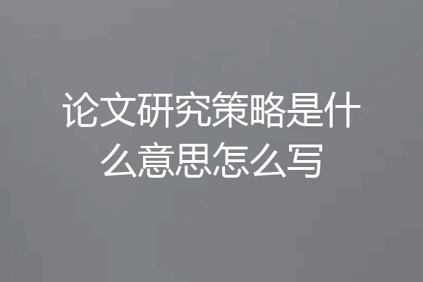 论文研究策略是什么意思怎么写