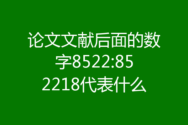 论文文献后面的数字8522:852218代表什么