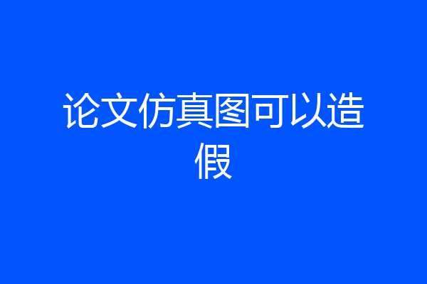 论文仿真图可以造假
