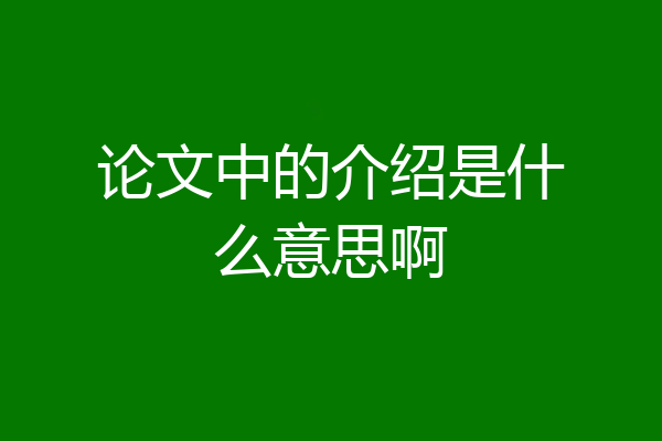 论文中的介绍是什么意思啊