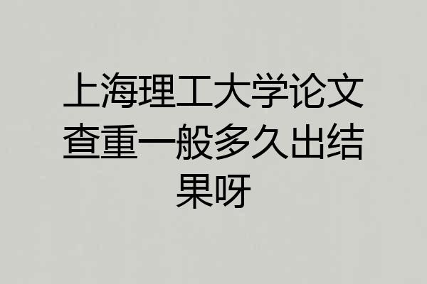 上海理工大学论文查重一般多久出结果呀
