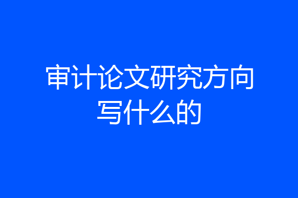 审计论文研究方向写什么的
