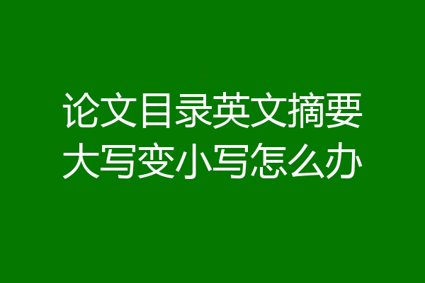 论文目录英文摘要大写变小写怎么办