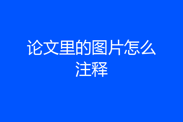 论文里的图片怎么注释