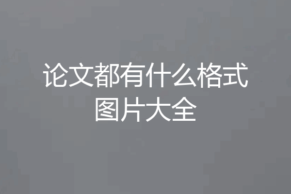 论文都有什么格式图片大全