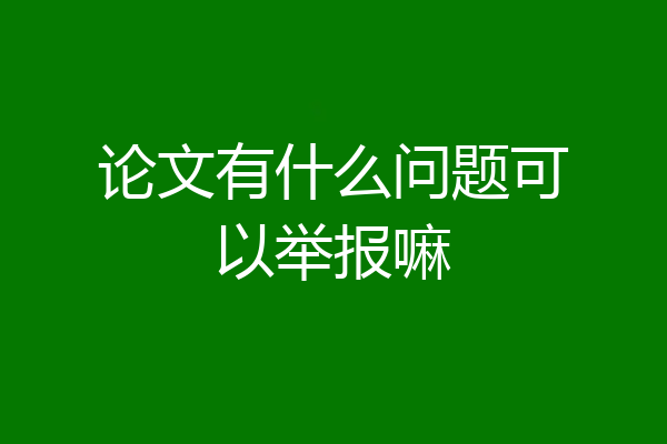 论文有什么问题可以举报嘛
