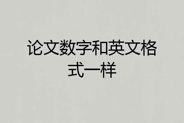论文数字和英文格式一样