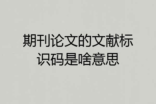 期刊论文的文献标识码是啥意思
