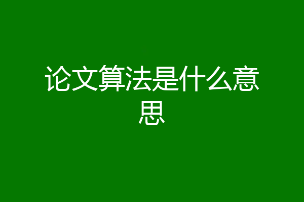论文算法是什么意思