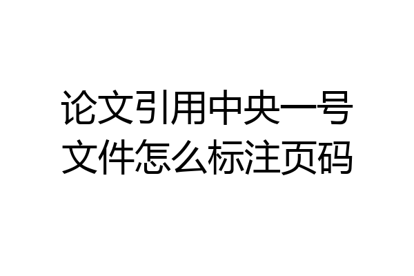 论文引用中央一号文件怎么标注页码