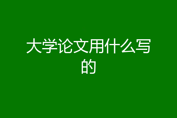 大学论文用什么写的