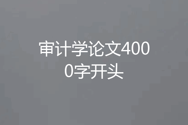 审计学论文4000字开头