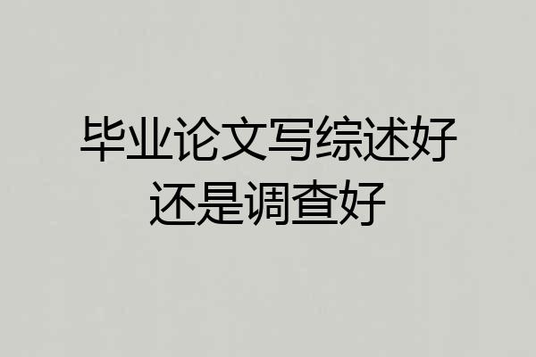 毕业论文写综述好还是调查好