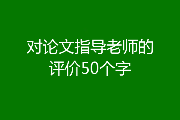 对论文指导老师的评价50个字