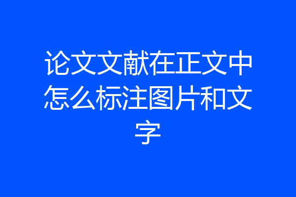论文文献在正文中怎么标注图片和文字