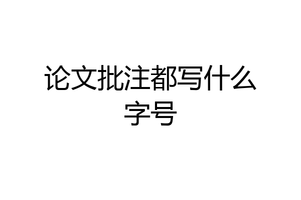 论文批注都写什么字号
