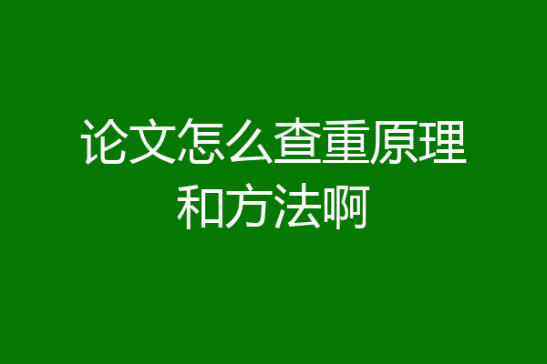 论文怎么查重原理和方法啊