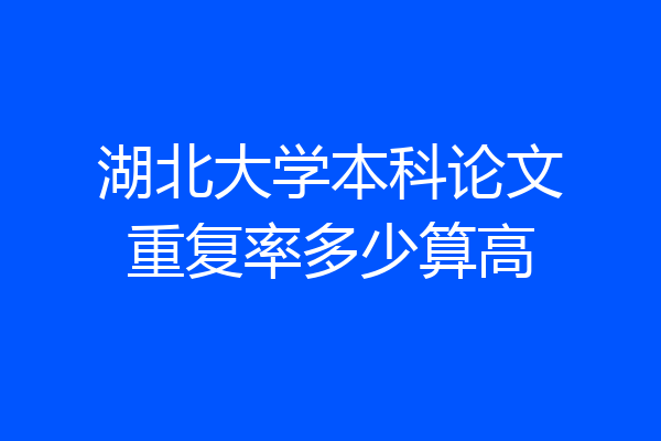 湖北大学本科论文重复率多少算高